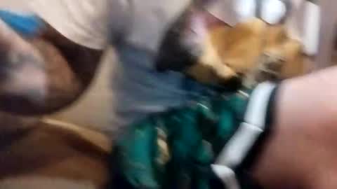 pumapumping online show from 10-11-25, 11:14
