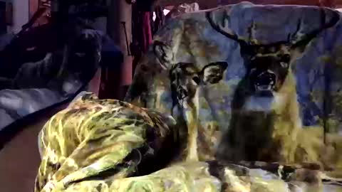 pumpslurrys online show from 10-12-25, 11:26