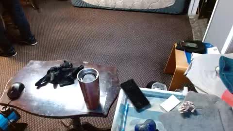 Jojo online show from 04-02-26, 05:38