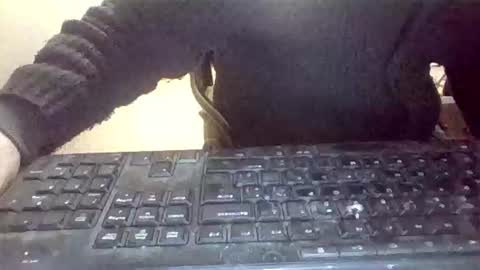 pup_y online show from 01-31-26, 07:11