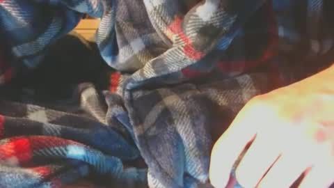 Pup Scrote online show from 02-10-25, 05:14