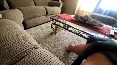 purdyguy7777 online show from 03-20-26, 07:52