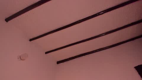 Snapshot of purple_opal chatting on 01-05-25, 01:13 Vero online from Tuesday to Sunday online show from 01-05-25, 01:13