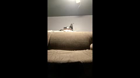 pussylicker517038 online show from 04-29-26, 02:37