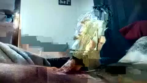 Pussyluver420 online show from 10-01-25, 08:15