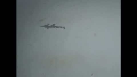 pussyxwetx online show from 02-27-26, 05:02