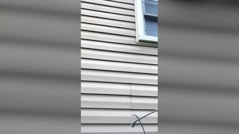 Snapshot of pyrex8 chatting on 04-11-26, 11:36 pyrex8 online show from 04-11-26, 11:36