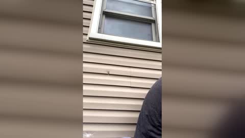 Snapshot of pyrex8 chatting on 04-13-26, 08:58 pyrex8 online show from 04-13-26, 08:58