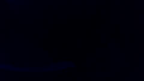 Snapshot of pyrichar31 chatting on 07-16-26, 03:01 pyrichar31 online show from 07-16-26, 03:01