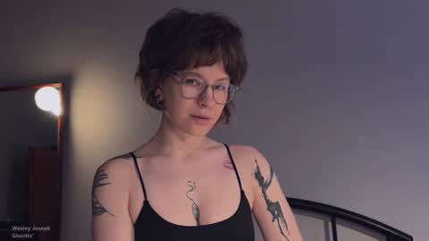 Snapshot of quack__quack chatting on 11-11-25, 03:23 online show from 11-11-25, 03:23