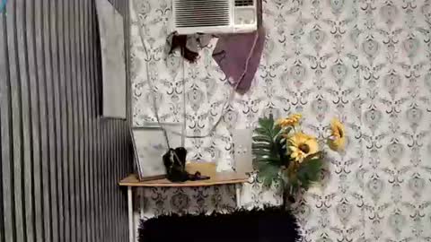 Snapshot of queen_elicktra chatting on 09-10-25, 11:05 JOY online show from 09-10-25, 11:05