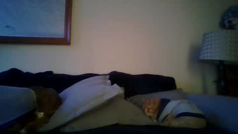 queenbee6269 online show from 02-06-25, 05:51