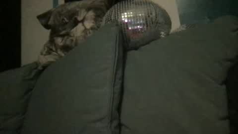 Queen De La Ranch online show from 09-20-25, 07:04