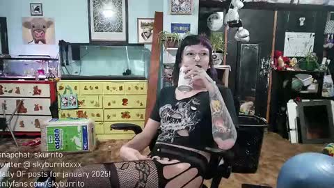 Snapshot of queer_burrito chatting on 12-29-24, 12:20 Sky Burrito online show from 12-29-24, 12:20