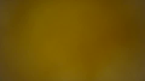 quinnxx online show from 02-26-26, 07:51