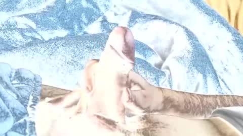 Snapshot of rabo_rico chatting on 02-26-26, 10:14 rabo_rico online show from 02-26-26, 10:14