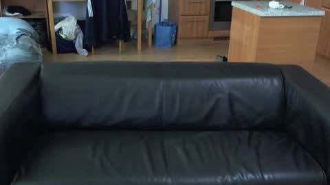 rafaelosteel online show from 11-01-25, 01:07