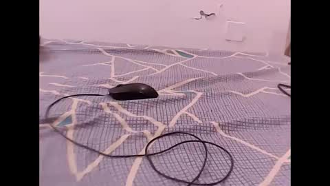 RAMAN online show from 12-01-25, 04:56