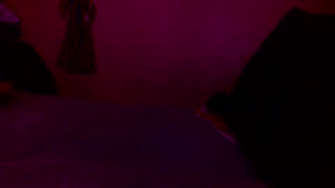 randobad12 online show from 01-18-25, 10:06