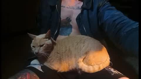 randy_motorhead online show from 05-21-26, 03:24