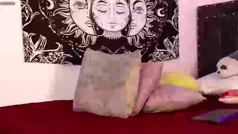 Raven online show from 03-13-26, 11:11