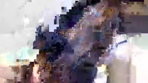 ravenblissx online show from 06-09-26, 03:56