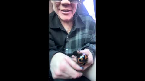 Snapshot of ravenrayyy chatting on 02-09-26, 04:22 Raven Ray online show from 02-09-26, 04:22