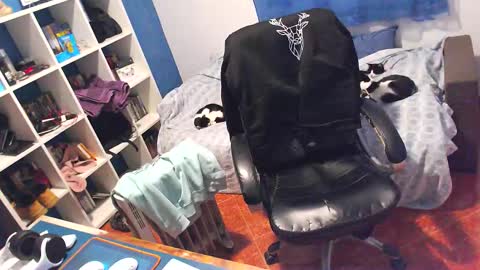 ravingr3d3 online show from 02-05-26, 12:10