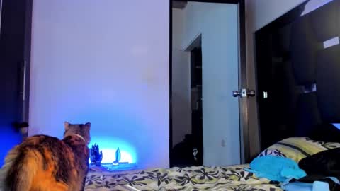 Snapshot of raydevil_ chatting on 09-28-25, 09:42 Rayn online show from 09-28-25, 09:42