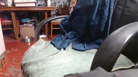 Ray online show from 01-01-25, 01:04