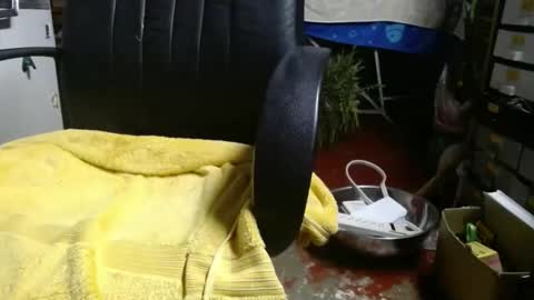 Ray online show from 11-27-25, 01:07