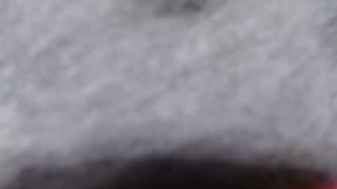 Snapshot of ready2fuk647232 chatting on 11-02-25, 09:44 ready2fuk647232 online show from 11-02-25, 09:44