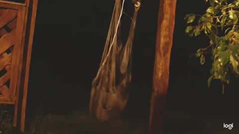 ready4aride2day online show from 04-24-26, 02:14