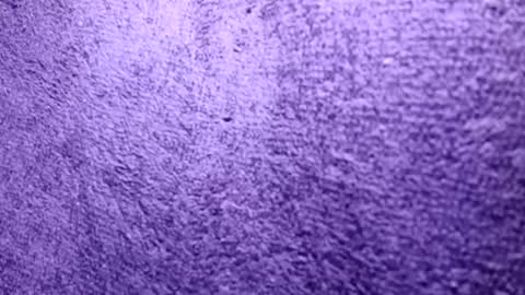 Rasta online show from 10-21-25, 06:30