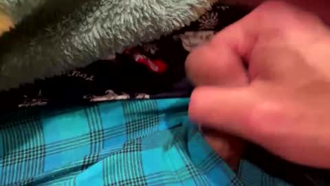 realbigload77 online show from 12-23-25, 03:26