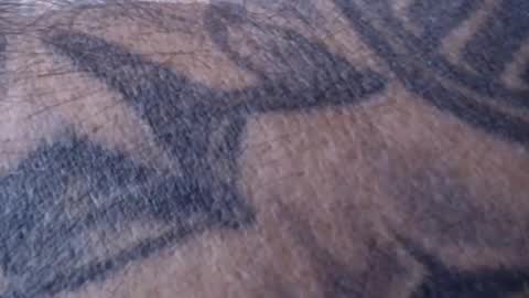 realrubpirate online show from 01-18-25, 09:02