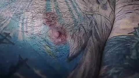 realrubpirate online show from 02-03-26, 09:03