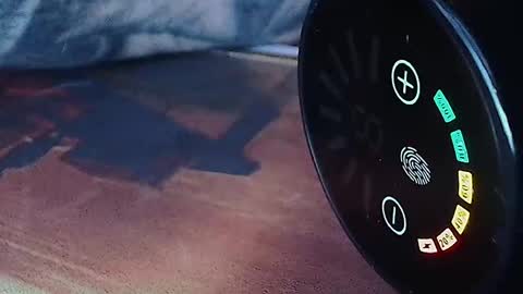 realrubpirate online show from 04-12-26, 06:51