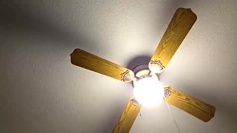 red24devils online show from 10-26-25, 05:41