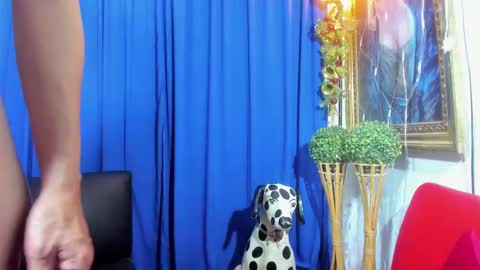 Snapshot of redroomxx chatting on 02-08-25, 04:04 MIA online show from 02-08-25, 04:04