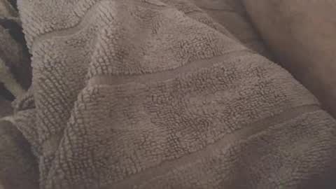 redwhiteblue_24 online show from 07-27-26, 09:33