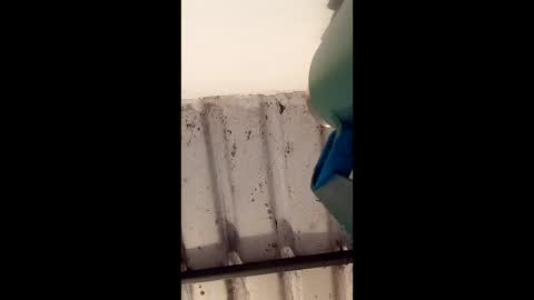 reinft online show from 03-01-26, 10:06