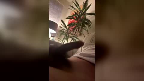 renzogzz online show from 07-12-26, 12:51