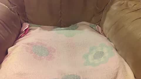 Snapshot of rexxarr chatting on 09-17-25, 05:47 Mark online show from 09-17-25, 05:47