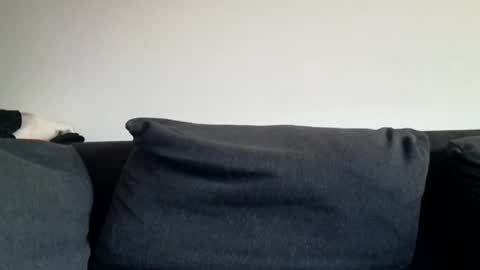 Shaved cock ready online show from 03-31-26, 06:03