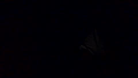 Babu online show from 10-12-25, 03:27