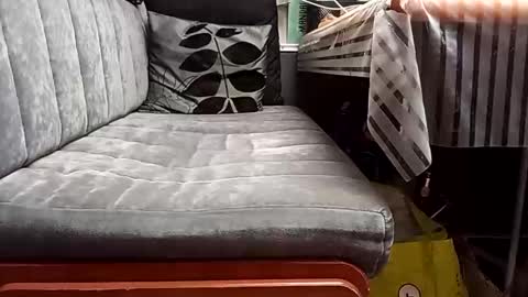 FireLion online show from 04-13-26, 09:37