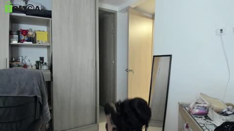 RickyDicot 13 online show from 09-27-25, 02:05