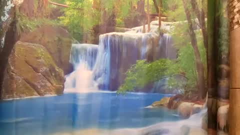 bwc daddy online show from 12-09-24, 09:48