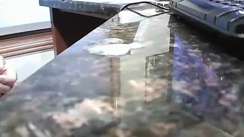 rigellan2021 online show from 10-01-25, 02:45